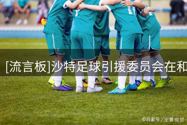 [流言板]沙特足球引援委员会在和曼城谈赖因德斯，等于统购统销分配